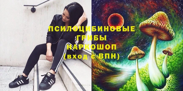 таблы Алзамай