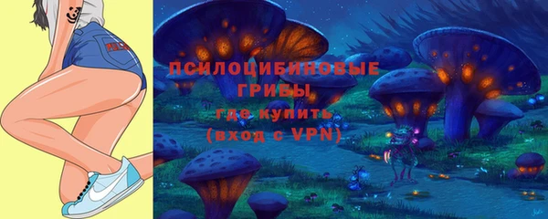 таблы Алзамай