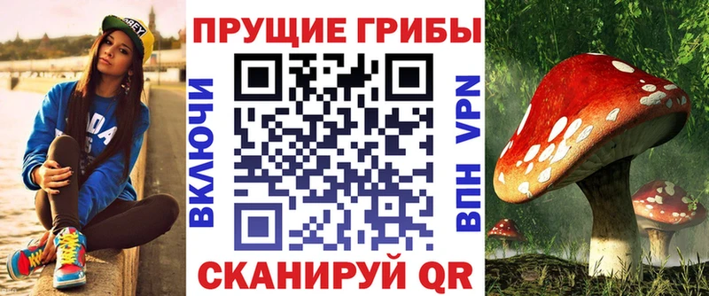 Галлюциногенные грибы Psilocybine cubensis Карасук