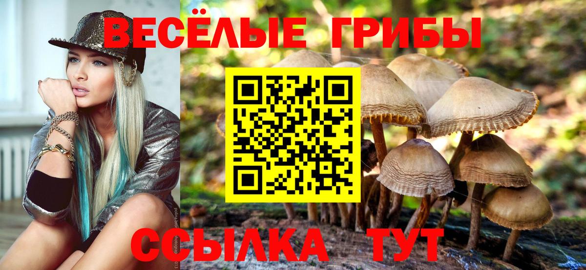 Карасук  Галлюциногенные грибы GOLDEN TEACHER  Вход с VPN 